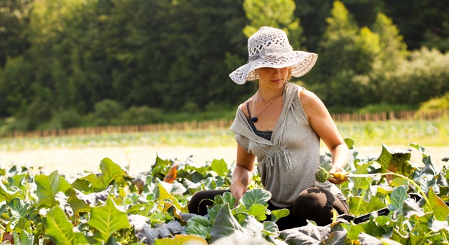 Farm Fresh | Photo by Lynne Graves