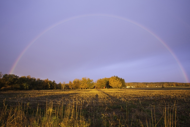 Rainbow over a field in Worthington
