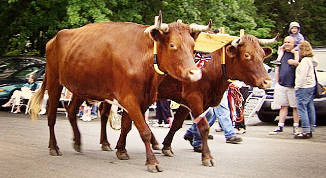 Chesterfield Fourth of July