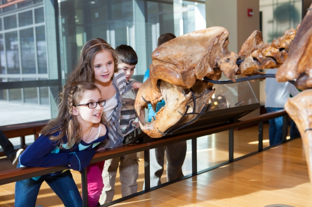 Beneski Museum of Natural History | Amherst