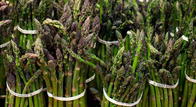 Asparagus at Atkins in Amherst, MA | Photo by Lynne Graves