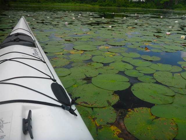 Canoeing and Kayaking in Hampshire County