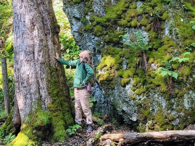 Yoga and Forest Bathing in Hampshire County