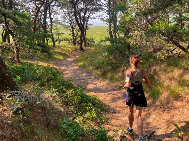 Hiking and Trail Running in Hampshire County